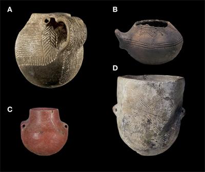 Iberian Neolithic Networks: The Rise and Fall of the Cardial World